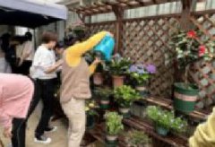 六联社区|“减压赋能 绿色心情” --六联社区“三八”节舒心关爱活动