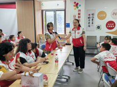 碧岭|授旗+表彰+培训，志愿服务队崭新启航